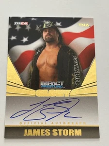 PACK FRESH 2013 TNA Impact Wrestling Glory James Storm Gold Autograph #039/199! - Picture 1 of 2