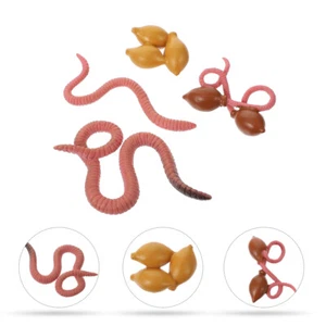 Earthworm figures toys Earthworm Life Cycle 3d Insect Model Kit Creature Learn - Picture 1 of 12