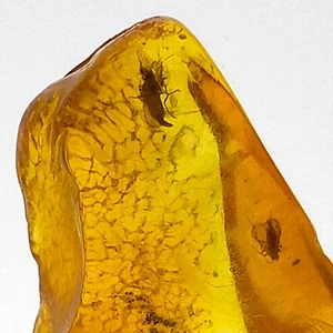 Baltic Amber natural w/ two insect fossil inclusions polished gemstone 4.3ct - Picture 1 of 7