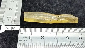 AMBRE (rép dominicaine) pierre mineraux lithotherapie collection reiki brut - Imagen 1 de 1