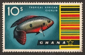 Ghana        60         MNG - Picture 1 of 1