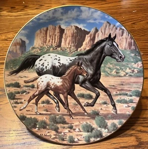 1989 "The Appaloosa" W.S. George reinrassige Pferde Amerikas mit Echtheitszertifikat Neu in OVP. - Bild 1 von 2