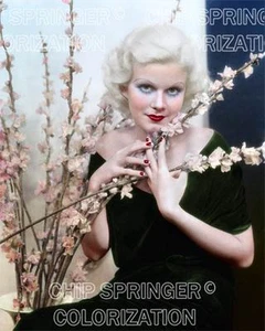JEAN HARLOW LONG STEM FLOWERS 5 DAYS 8X10 BEAUTIFUL COLOR PHOTO BY CHIP SPRINGER - Picture 1 of 1