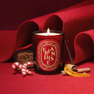 Diptyque FRIANDISE City Duftkerze 190g/6,5oz Limited Edition *Neu OVP* - Bild 1 von 3