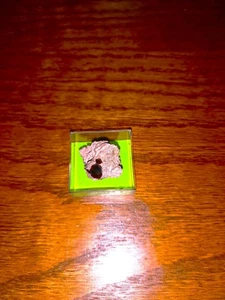 Grossular xx Micromount Nevada USA aus Sammlung - Bild 1 von 7