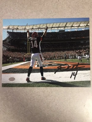 Foto GTSM assinada por Andy Dalton Cincinnati Bengals 8x10 - Imagem 1 de 3