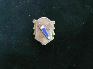 ARCHERY Sports Award Medallion Pin Pinback Bow Arrows - Picture 1 of 2