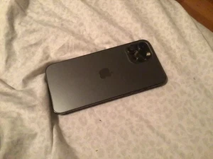 iPhone 12 Pro Max 256 Go - Photo 1 sur 3