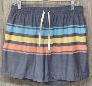 Chubbies Men’s Classic Lined Swim Trunks Shorts 5.5" Inseam Blue Striped Size XL - Picture 1 of 7