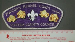 Boy Scout Suffolk County CSP SMY border 6176HH - Picture 1 of 1