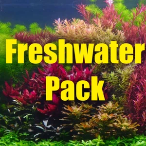 Freshwater Aquarium Plant pack live aquarium plants assorted mixed pack - Picture 1 of 6