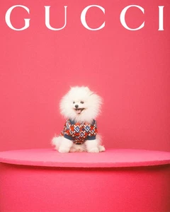 GUCCI - Neu mit Etikett 2022 Isometric Doggie Polo Shirt, Größe M - Bild 1 von 4