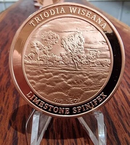 Copper Coin 1 Troy Ounce - Great White Bullion - Australian Limestone Spinifex - Picture 1 of 6