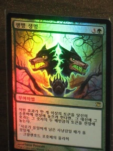 (Foil) [NM] MTG Korean, Innistrad, 1 x Parallel Lives - Picture 1 of 1