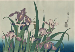 Véritable Estampe Japonaise Hokusai "iris et sauterelle"