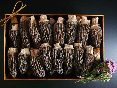 Premium Medium/Large Dried Morrel Mushroom Size 2.5- 4 inches - Image 1 of 2