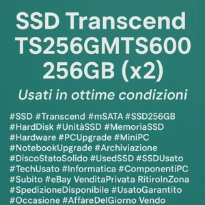 SSD Transcend TS256GMTS600 256GB (x2) - Usati in ottime condizioni - Foto 1 di 2