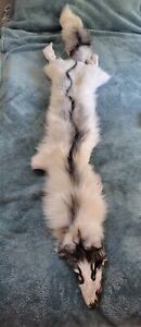 Arctic Marble Fox Pelt For Sale - New Condition