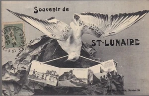 St LUNAIRE 35 Souvenir Postkarte geschrieben an M Léon BOUCHERIE La Rochelle 22. Juli 1920 - Bild 1 von 2