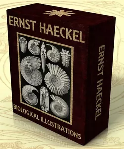 KUNSTFORMEN DER NATUR + other works, Ernst Haeckel 307 Color Art plates DVD-Rom - Picture 1 of 1