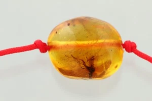 Fossil Insect BALTIC AMBER Unisex Red String Adjustable Bracelet 1.1g 241218-17 - Picture 1 of 6