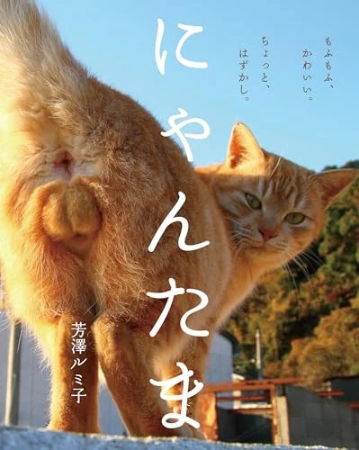 NYAN-TAMA Cat Testicles Male Cats Furry Balls Photo Book - Image 1 of 1