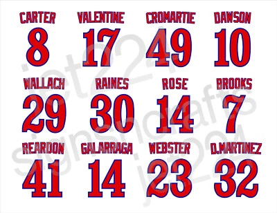 Montreal Expos DECAL STICKER 80s Carter Valentine Dawson Rose Raines Wallach + - Image 1 of 4