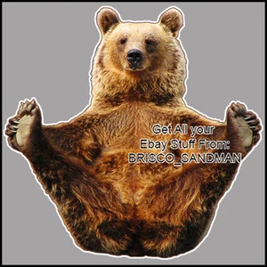 Kühlschrankspaß Kühlschrankmagnet BLINKBÄR - Spezial gestanzt - lustig - Bild 1 von 7