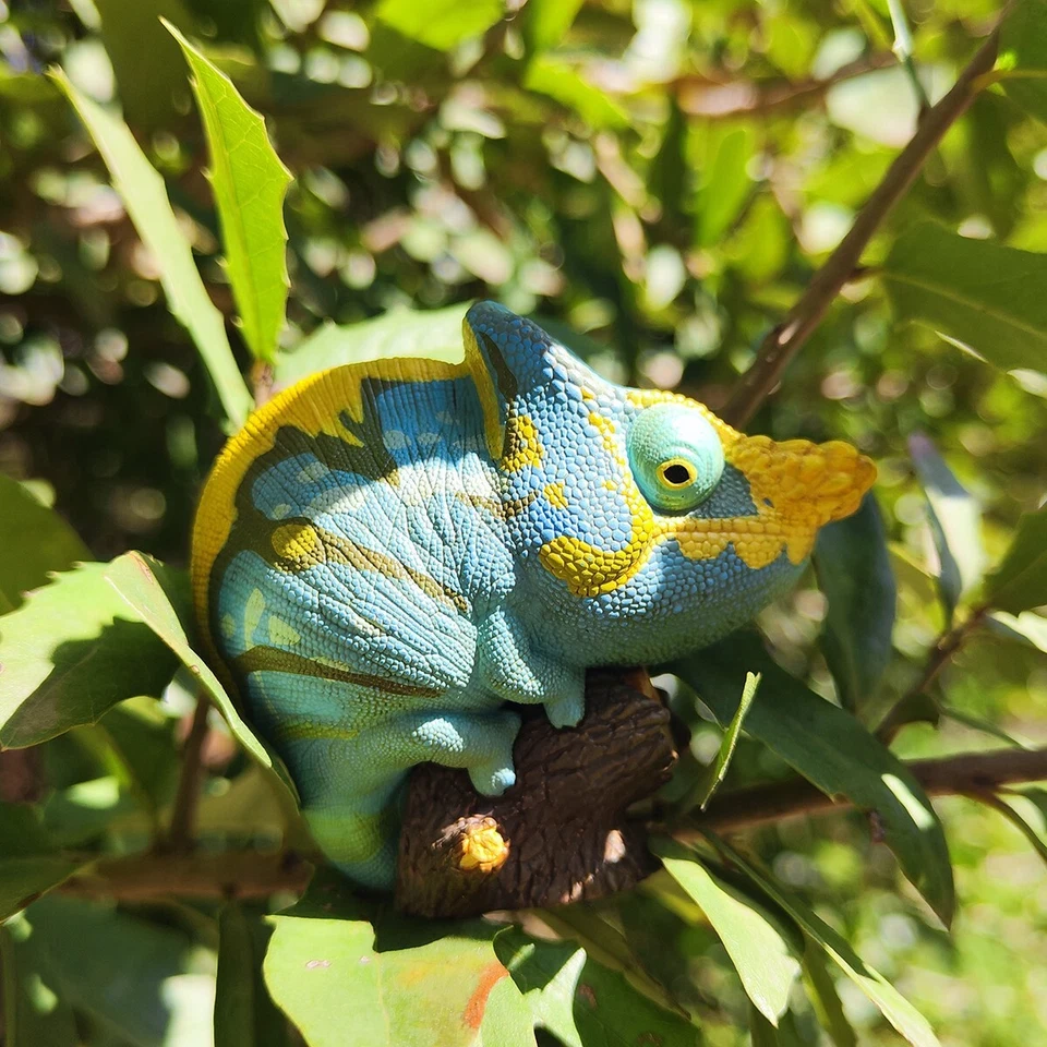 Animal Cuerpo Celestial Calumma parsonii Parson’s Chameleon Estatua Foto 1 de 4