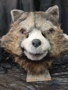Rocket Raccoon Mask - Foto 1 di 9