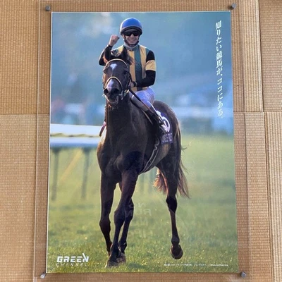 Juego de 2 carteles de carreras de caballos de bolsillo de la selva raro taza de Japón canal verde nuevos Foto 1 de 4