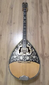 GREEK BOUZOUKI PRO & HARDCASE &, Pickup & 300 Greek Backing Track & Pdf Scores - Picture 1 of 22