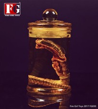 Fire Girl Toys 1/6 Predator Alien Facehugger Chestburster Figure Model Collectio