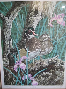 CRIS FOREST WOOD DUCKS LITHOGRAPH, LIMITED EDITION, 224/300, W/WOODEN FRAME - Picture 1 of 5
