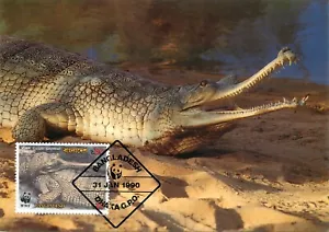 E0008 WWF Maximum Card 1990 Fauna Animals Bangladesh Gharial - Picture 1 of 2