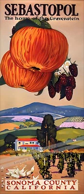 California Sebastopol Sonoma County Vintage Poster Print Retro Style Wall Art - Image 1 of 4