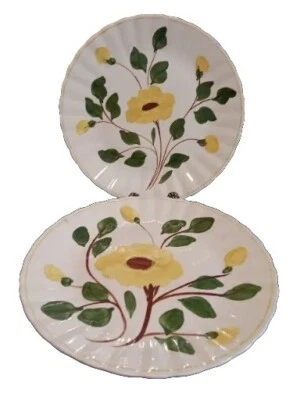 2 Blue Rigde Pottery-Ridge Daisy-10 1/4” Dinner Plates hand painted EUC - Image 1 of 4