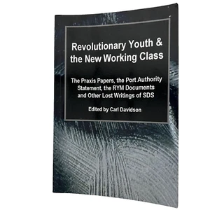 Revolutionary Youth & the New Working Class Edited by Carl Davidson SDS writings - Picture 1 of 8