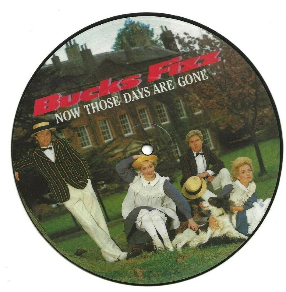 BUCKS FIZZ NOW THOSE DAYS ARE GONE RARE UK PICTURE DISC SINGLE FROM 1982, MINT - Image 1 of 1