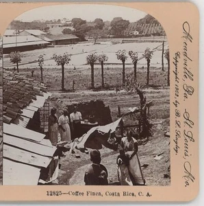 Kaffee Finca Costa Rica Keystone Stereoview 1900 - Bild 1 von 3
