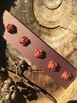 5 x Red Australian Gumnut Buttons - Handmade Natural Wood - Image 1 of 4