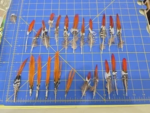 Y61 Lot of 23 Damaged Lady Amherst Pheasant Cock Tail Spike Feathers - Picture 1 of 3