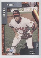 1992 Fleer ProCards Minor League Michael Wolff #3645