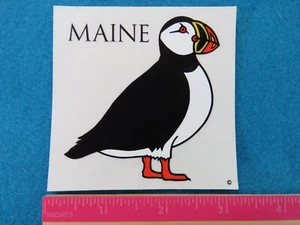 Collectible STICKER: MAINE Loon ~ Puffin Bird - Picture 1 of 1