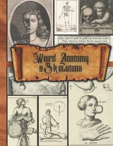 Seltsame Anatomie & Skelette: Antike medizinische Buchzeichnungen von Organen, Knochen &...  - Bild 1 von 2