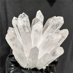 3.14LB Natural Clear Quartz Cluster Quartz Crystal vug Point Specimen XC3050 - Picture 1 of 15