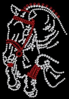 Hotfix Bügelbild Strass Pferd Springpferd 120803 Karostonebox - Bild 1 von 3