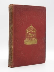 Beeton's Book of Birds 1870 Bird Rearing, Keeping, Colour Plates, Victorian - Imagen 1 de 24