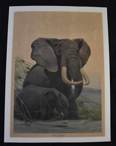 Impresión firmada por Jhon A. Ruthven, 1971 edición limitada "Elefantes africanos", 25/5000 - Imagen 1 de 10