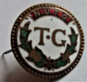 NUTG National Union of Townswomen Guilds Vintage Metal and Enamel Pin Badge - Foto 1 di 2